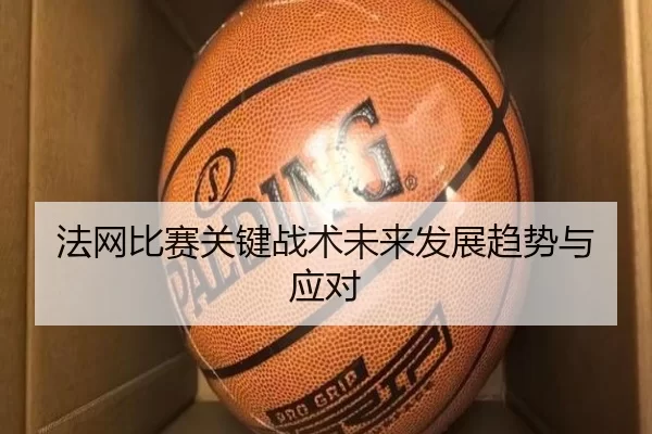 法网比赛关键战术未来发展趋势与应对